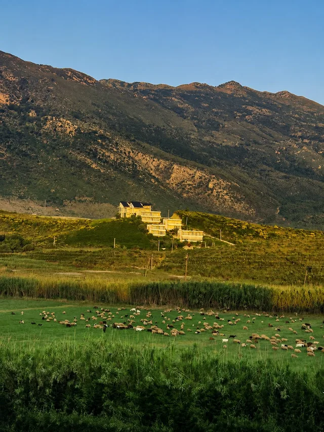 Berge über Radhimë am Morgen, Schafe auf der Wiese im Tal